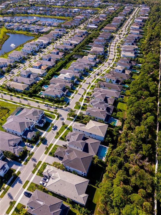 Aerial of tree-lined neighborhood streets with lake views