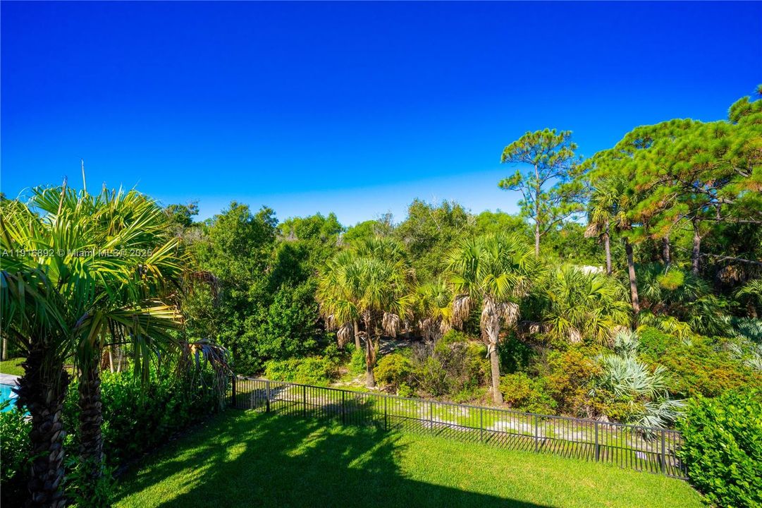 Balcony's view of luscious greenery