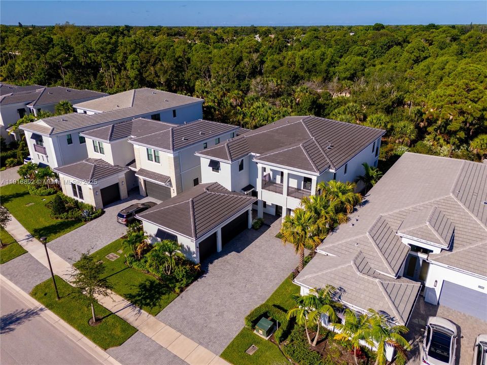 Palm-lined driveway and natural landscaping