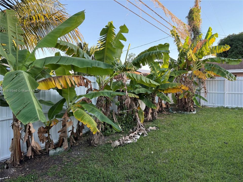 На продажу: $790,000 (4 спален, 2 ванн, 2273 Квадратных фут)