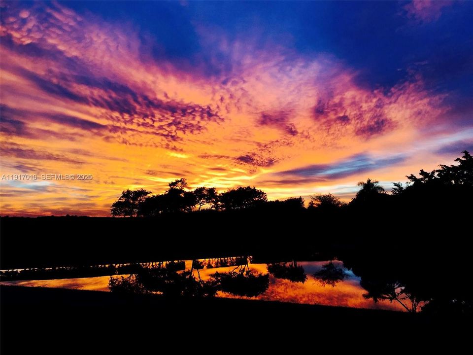 One of many spectacular sunsets in the city bordering the Everglades!