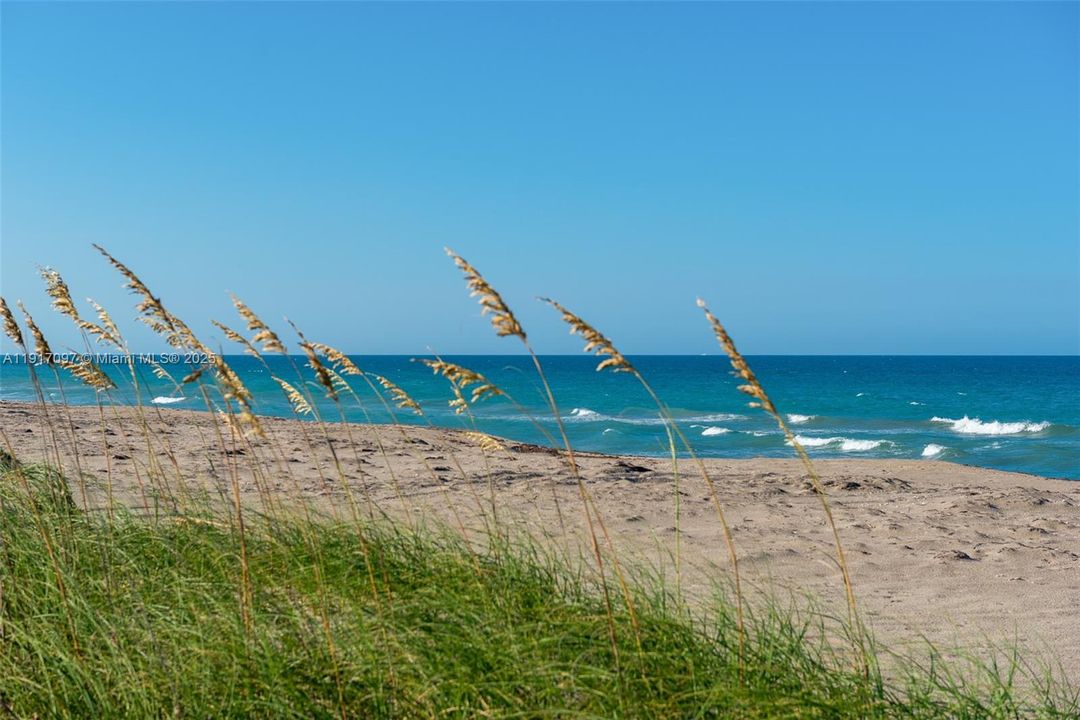 For Sale: $3,495,000 (4 beds, 5 baths, 4311 Square Feet)