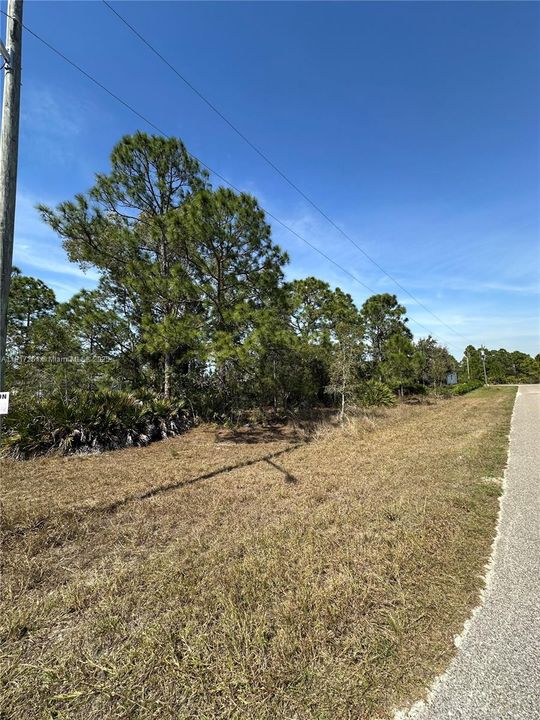 待售: $28,000 (0.25 acres)