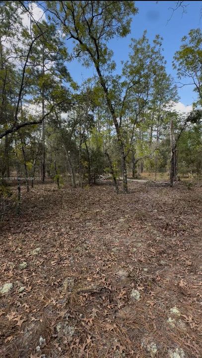 For Sale: $45,000 (1.02 acres)
