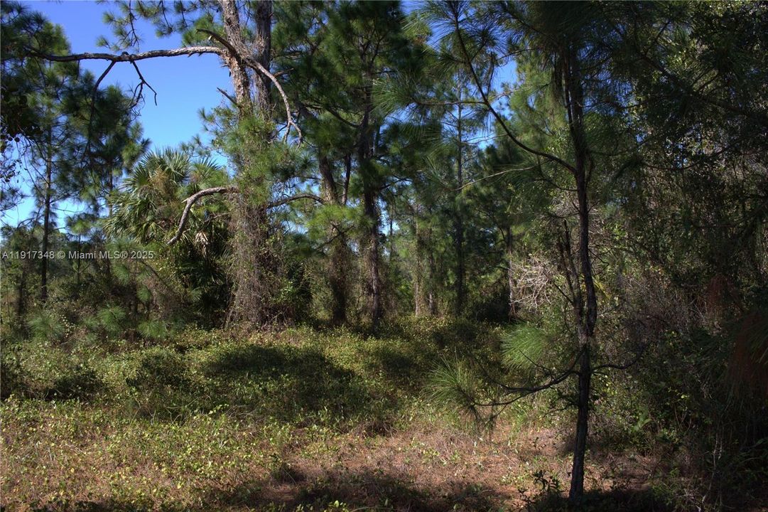 待售: $32,500 (0.50 acres)