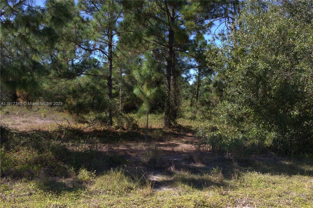 待售: $32,500 (0.50 acres)