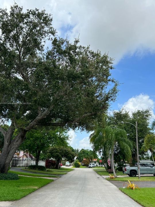 For Rent: $3,700 (2 beds, 2 baths, 1586 Square Feet)