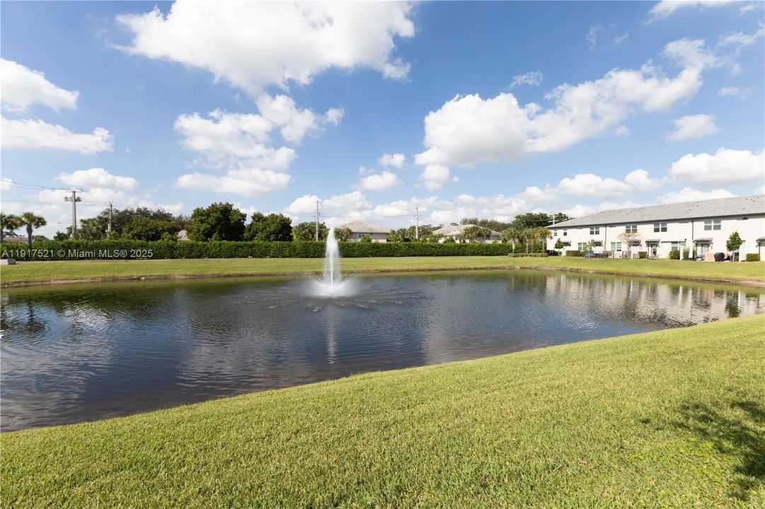Backyard views of the lake
