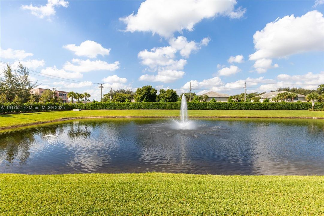 Backyard views of the lake