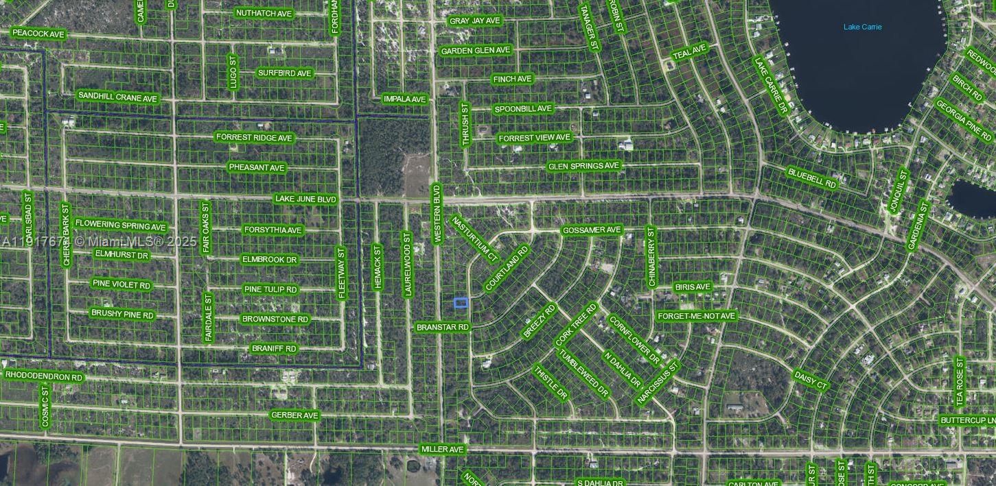 For Sale: $10,900 (0.23 acres)