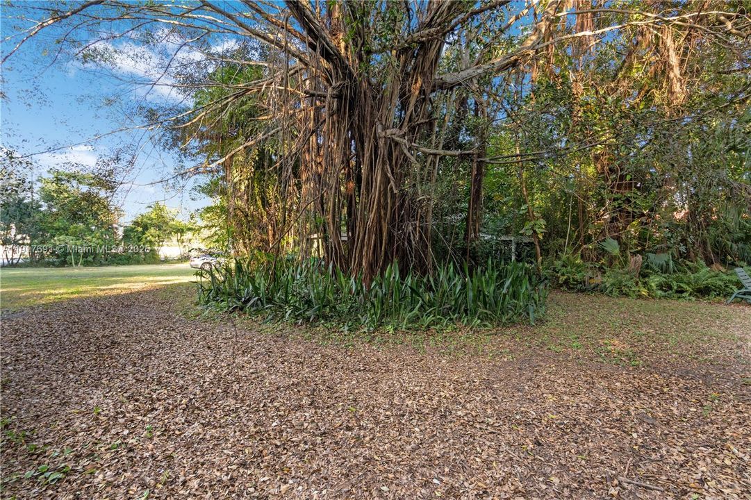 待售: $1,675,000 (1.00 acres)