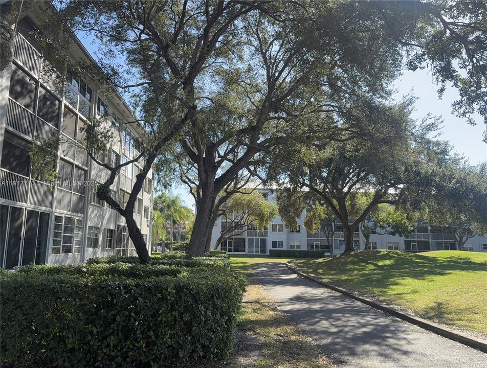 待售: $185,000 (1 贝兹, 1 浴室, 1045 平方英尺)