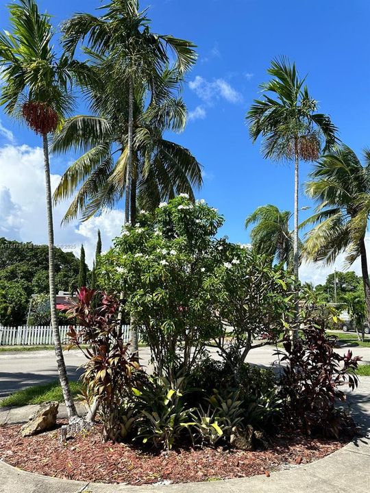 For Rent: $1,900 (1 beds, 1 baths, 1924 Square Feet)