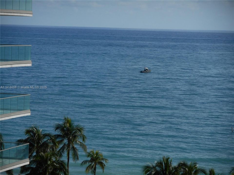 En Renta: $2,500 (1 camas, 1 baños, 1019 Pies cuadrados)