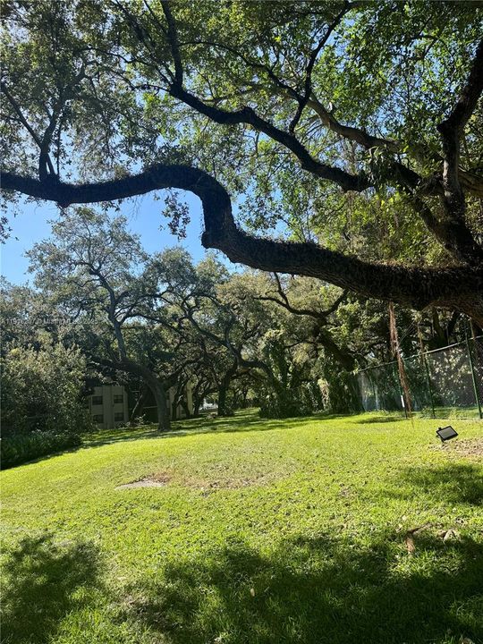 For Sale: $305,000 (2 beds, 2 baths, 1405 Square Feet)