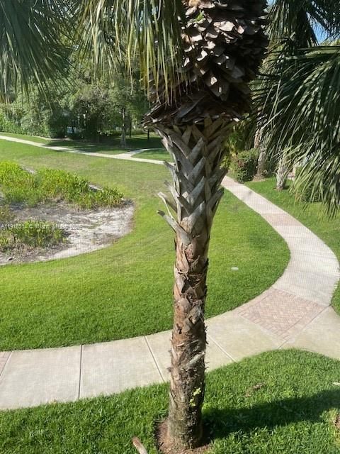 待售: $439,000 (3 贝兹, 2 浴室, 1445 平方英尺)