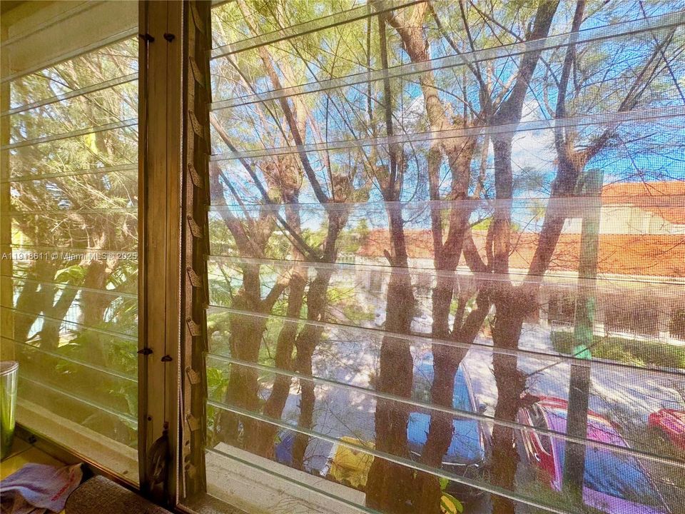 出租: $1,500 (1 贝兹, 1 浴室, 500 平方英尺)