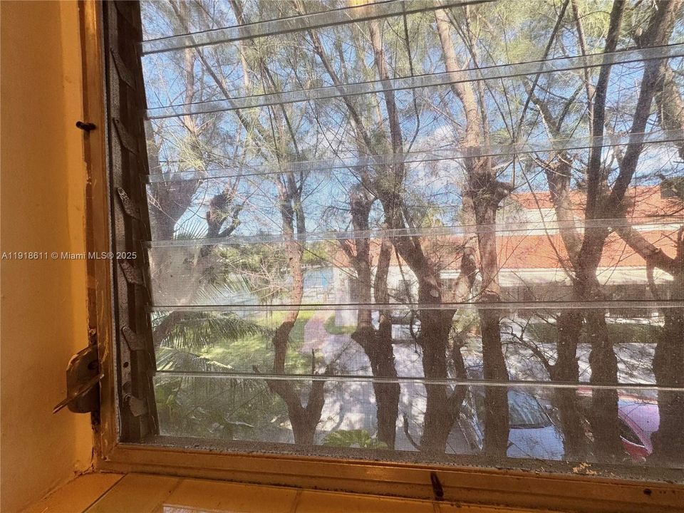 出租: $1,500 (1 贝兹, 1 浴室, 500 平方英尺)