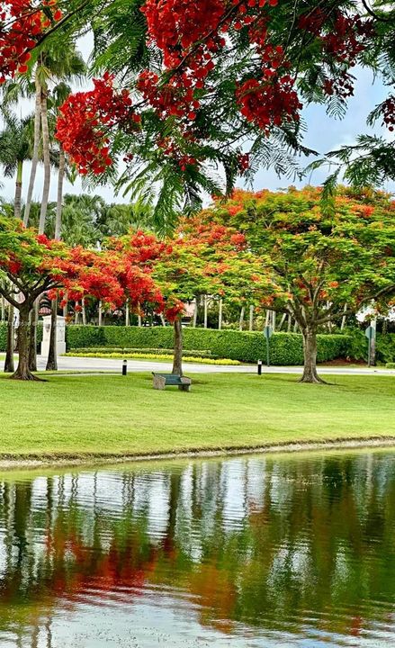 For Sale: $1,450,000 (4 beds, 3 baths, 2452 Square Feet)