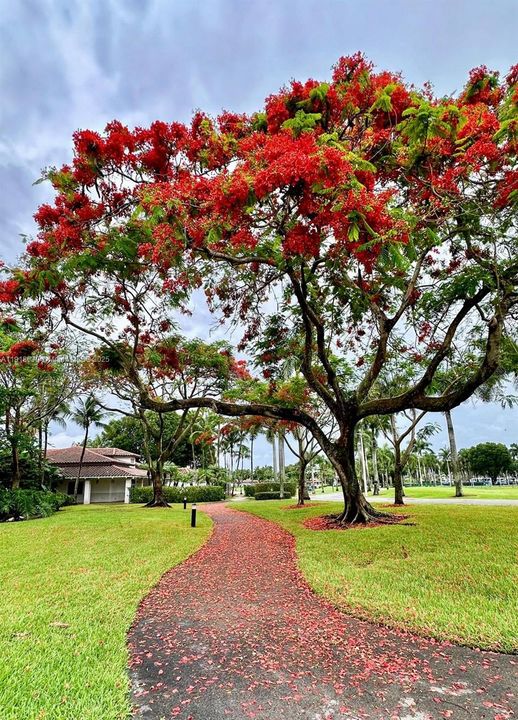 For Sale: $1,450,000 (4 beds, 3 baths, 2452 Square Feet)