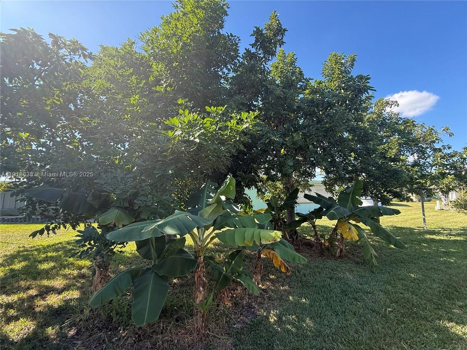 На продажу: $324,900 (2 спален, 2 ванн, 957 Квадратных фут)