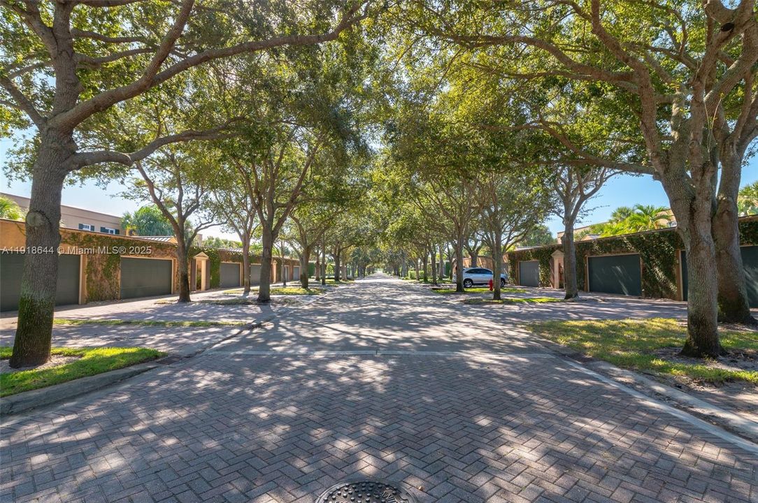 В аренду: $20,000 (3 спален, 2 ванн, 2100 Квадратных фут)