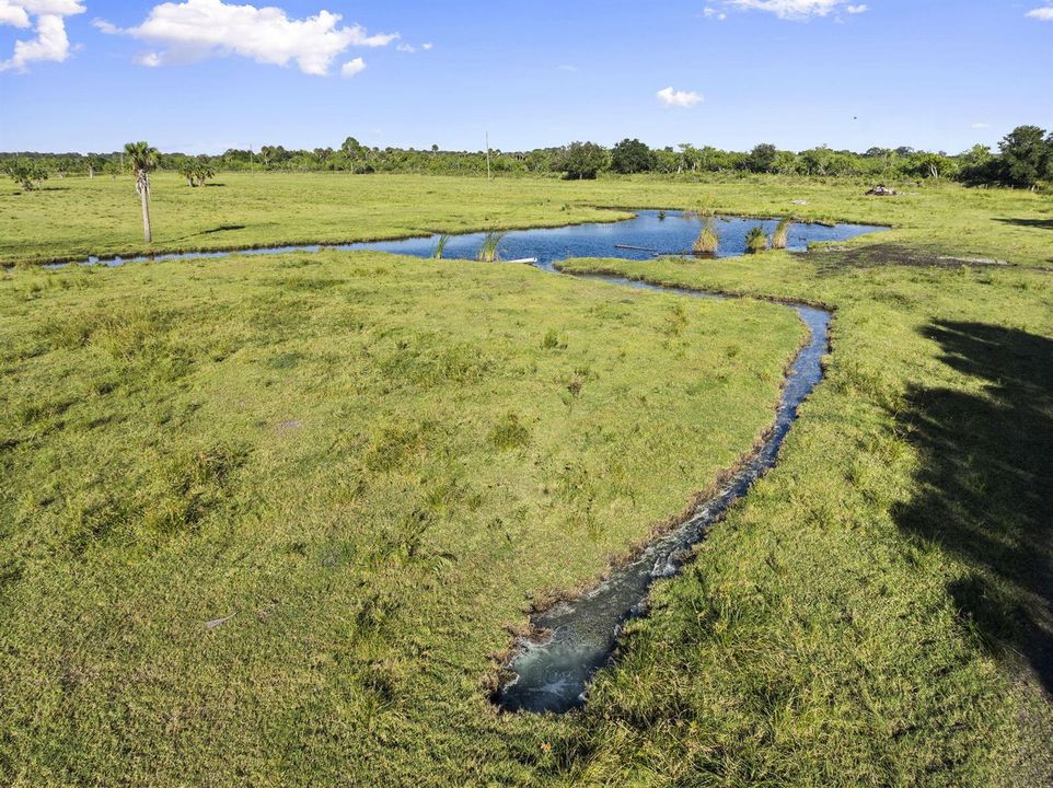 24-web-or-mls-DJI_0618