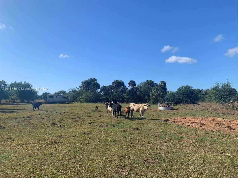 For Sale: $400,000 (0 beds, 0 baths, 0 Square Feet)