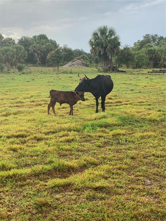 For Sale: $400,000 (0 beds, 0 baths, 0 Square Feet)