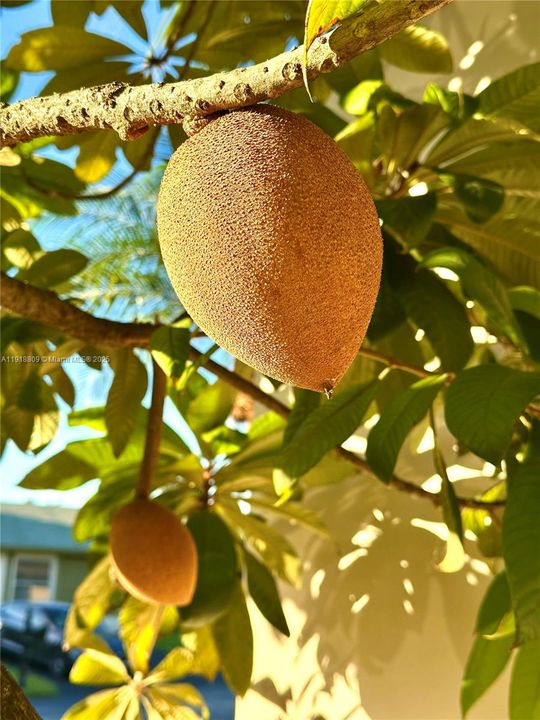 En Venta: $479,900 (3 camas, 1 baños, 1015 Pies cuadrados)