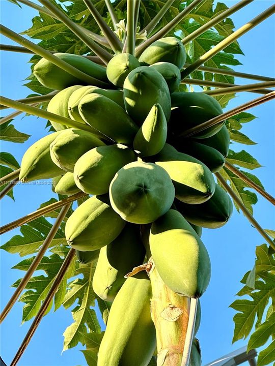 En Venta: $479,900 (3 camas, 1 baños, 1015 Pies cuadrados)