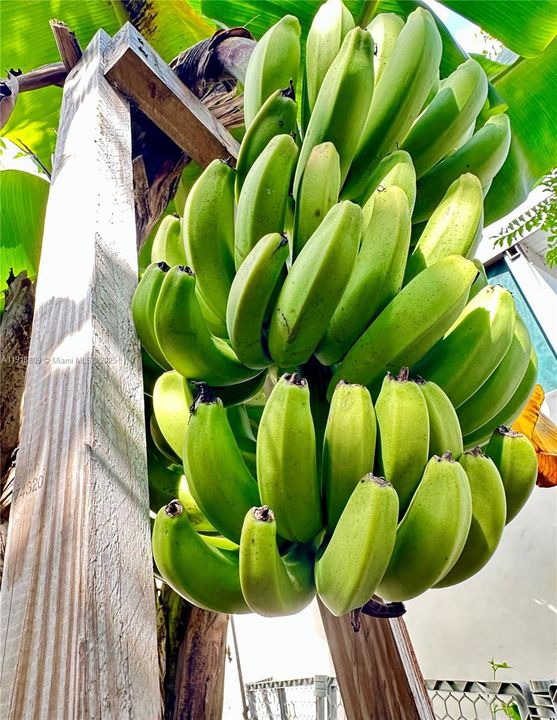 En Venta: $479,900 (3 camas, 1 baños, 1015 Pies cuadrados)