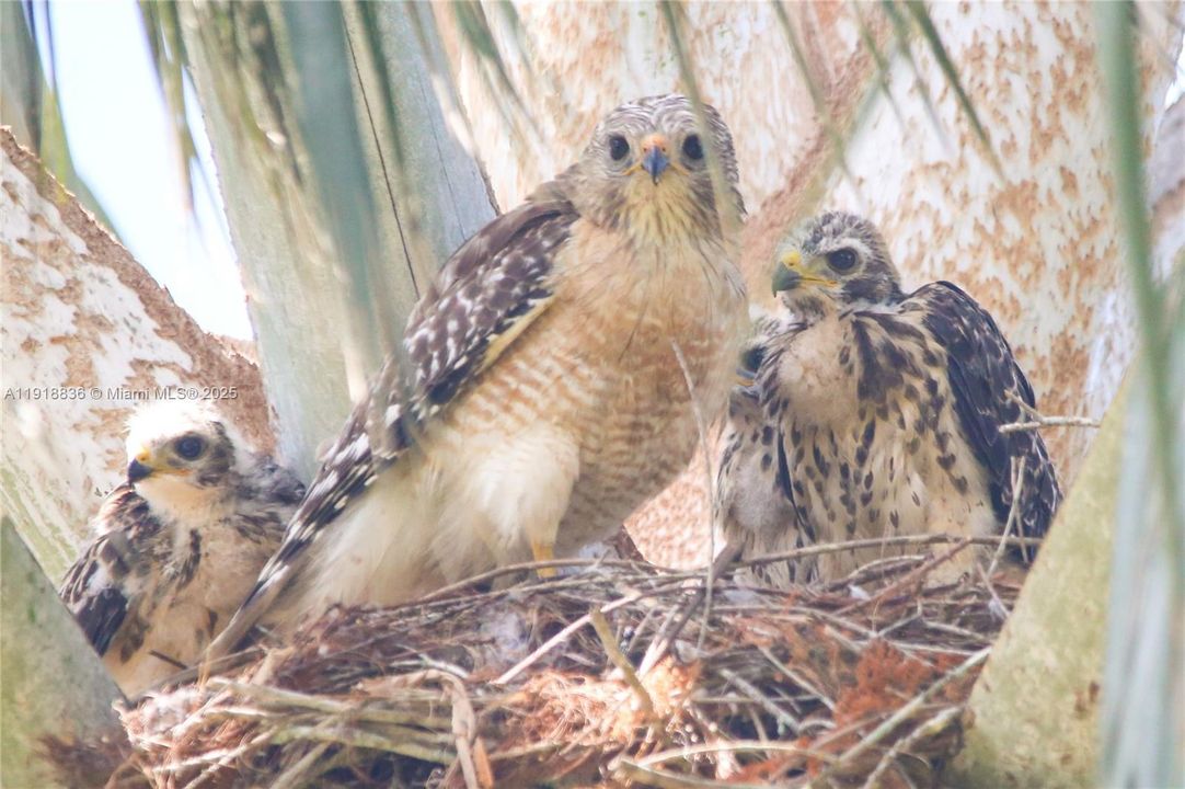 Vendido Recientemente: $695,000 (4 camas, 3 baños, 2651 Pies cuadrados)