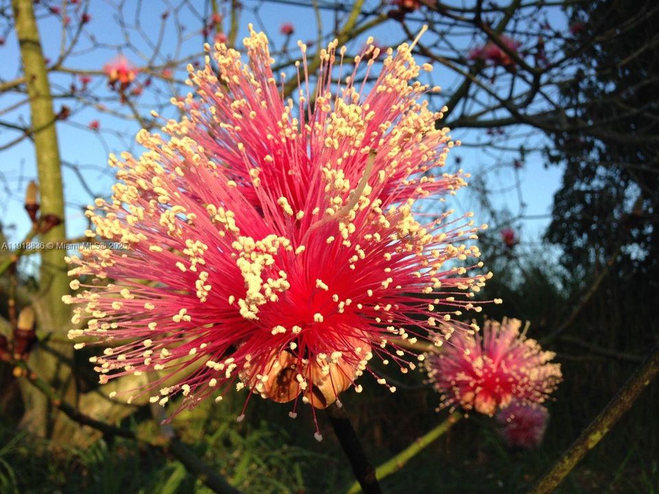 Vendido Recientemente: $695,000 (4 camas, 3 baños, 2651 Pies cuadrados)