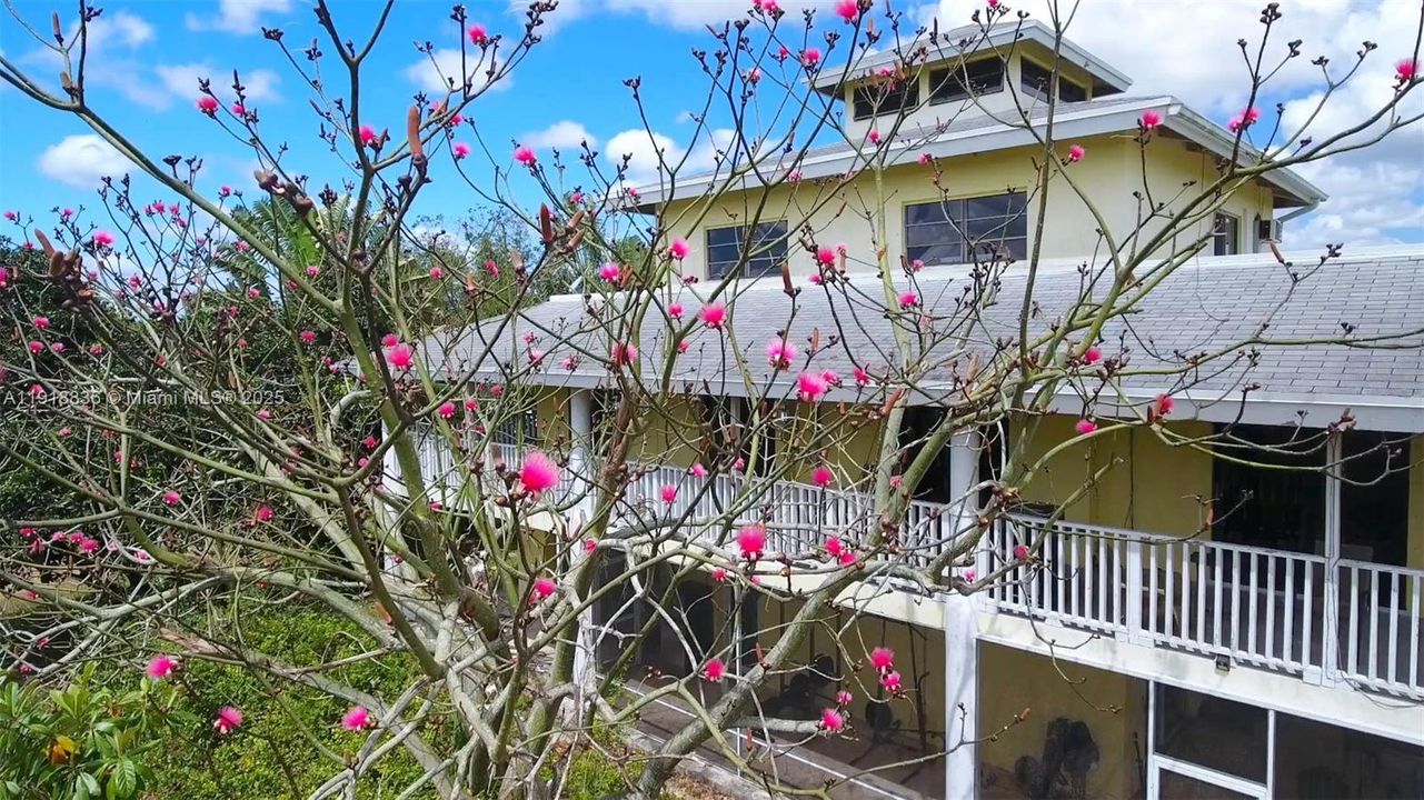 Vendido Recientemente: $695,000 (4 camas, 3 baños, 2651 Pies cuadrados)