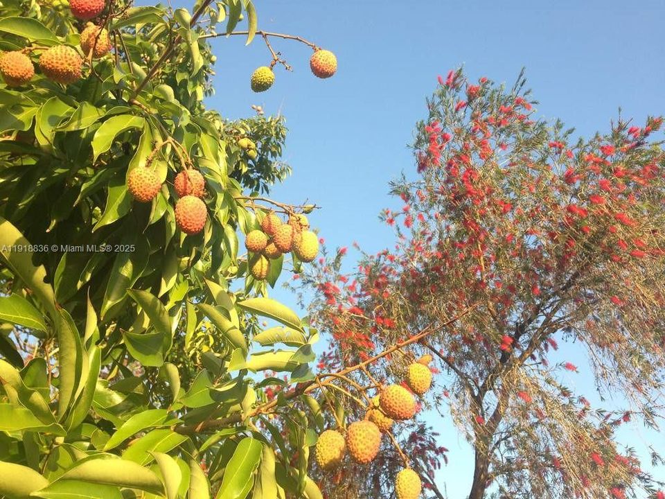 Vendido Recientemente: $695,000 (4 camas, 3 baños, 2651 Pies cuadrados)