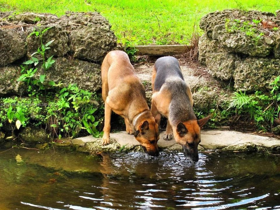 Vendido Recientemente: $695,000 (4 camas, 3 baños, 2651 Pies cuadrados)