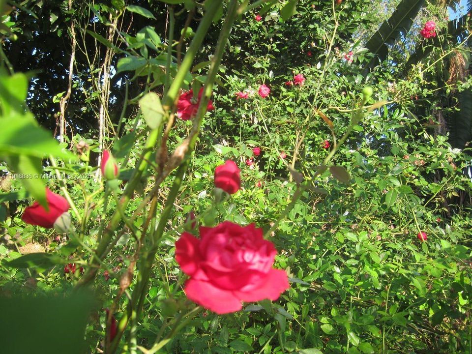 Vendido Recientemente: $695,000 (4 camas, 3 baños, 2651 Pies cuadrados)