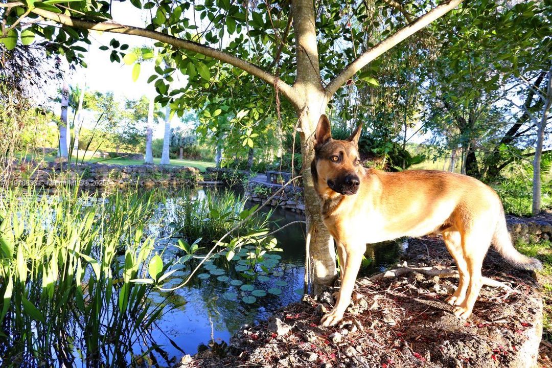 Vendido Recientemente: $695,000 (4 camas, 3 baños, 2651 Pies cuadrados)