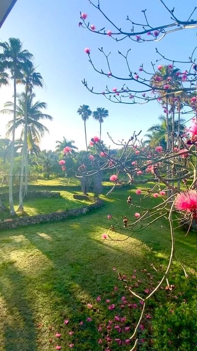 Vendido Recientemente: $695,000 (4 camas, 3 baños, 2651 Pies cuadrados)