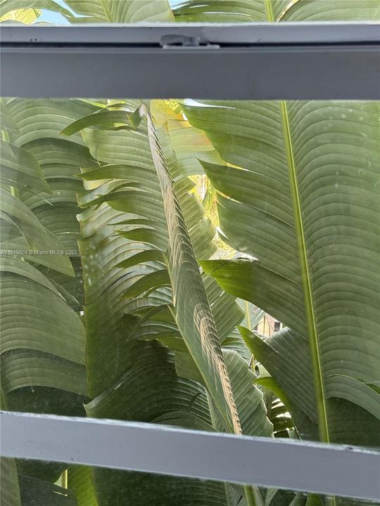 For Sale: $420,000 (2 beds, 1 baths, 785 Square Feet)