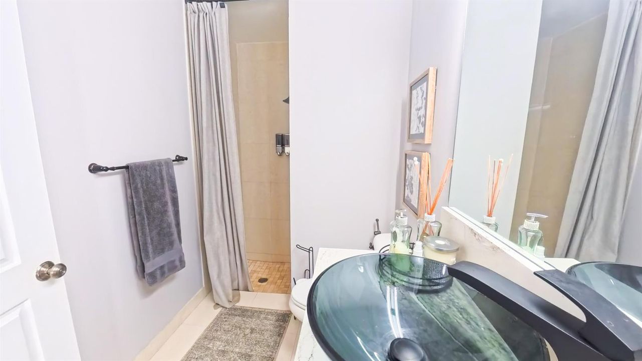 Bathroom Home Theater 1