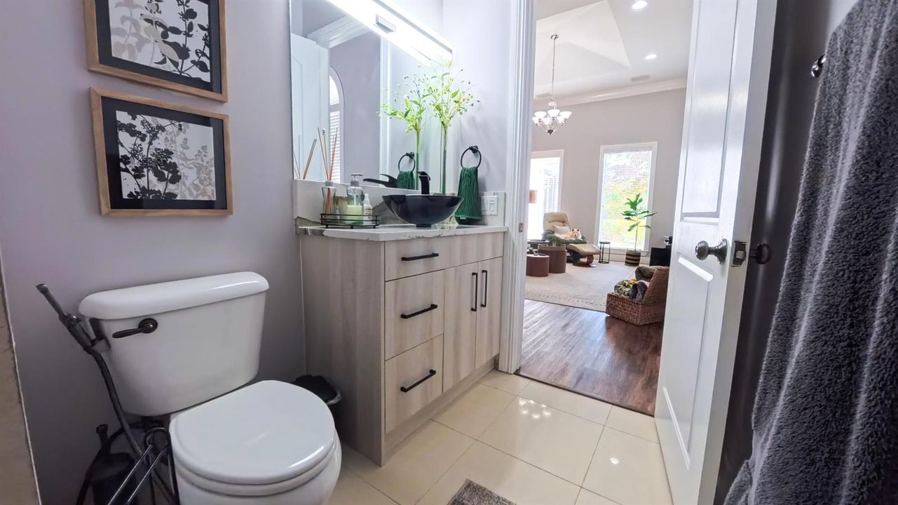 Bathroom Home Theater