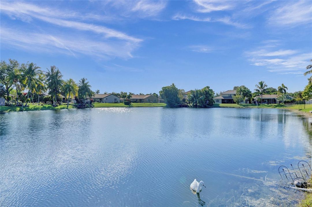 Lake view from backyard