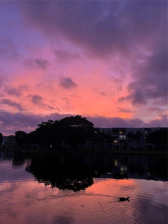 В аренду: $2,300 (2 спален, 2 ванн, 1385 Квадратных фут)