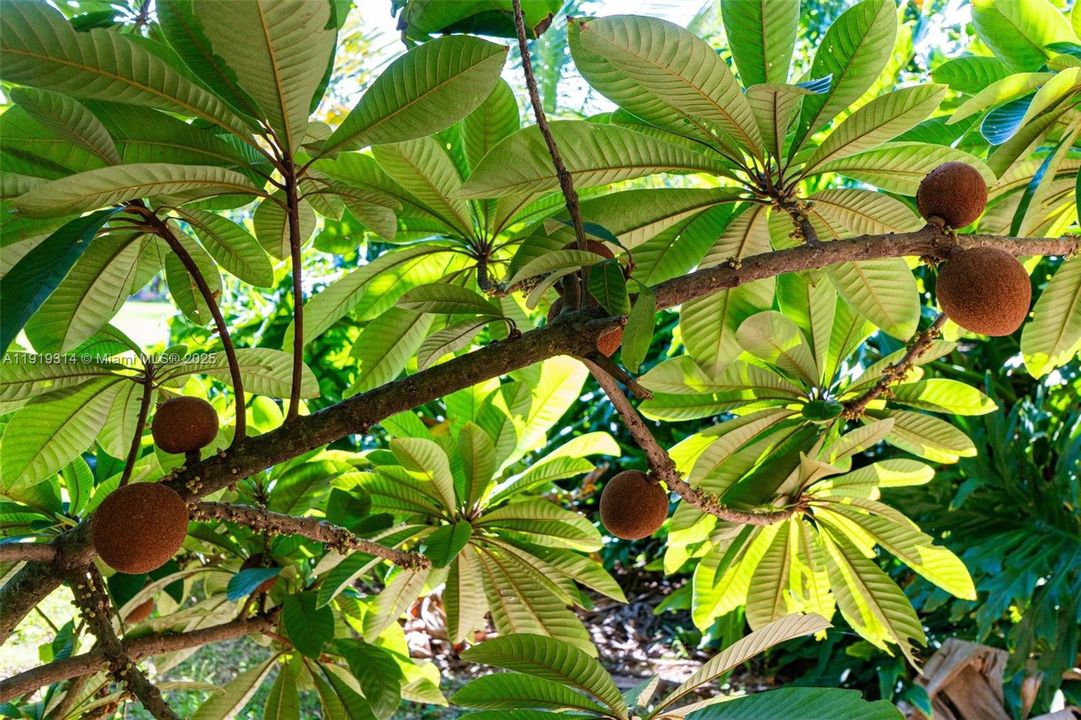 На продажу: $1,200,000 (3 спален, 2 ванн, 3694 Квадратных фут)