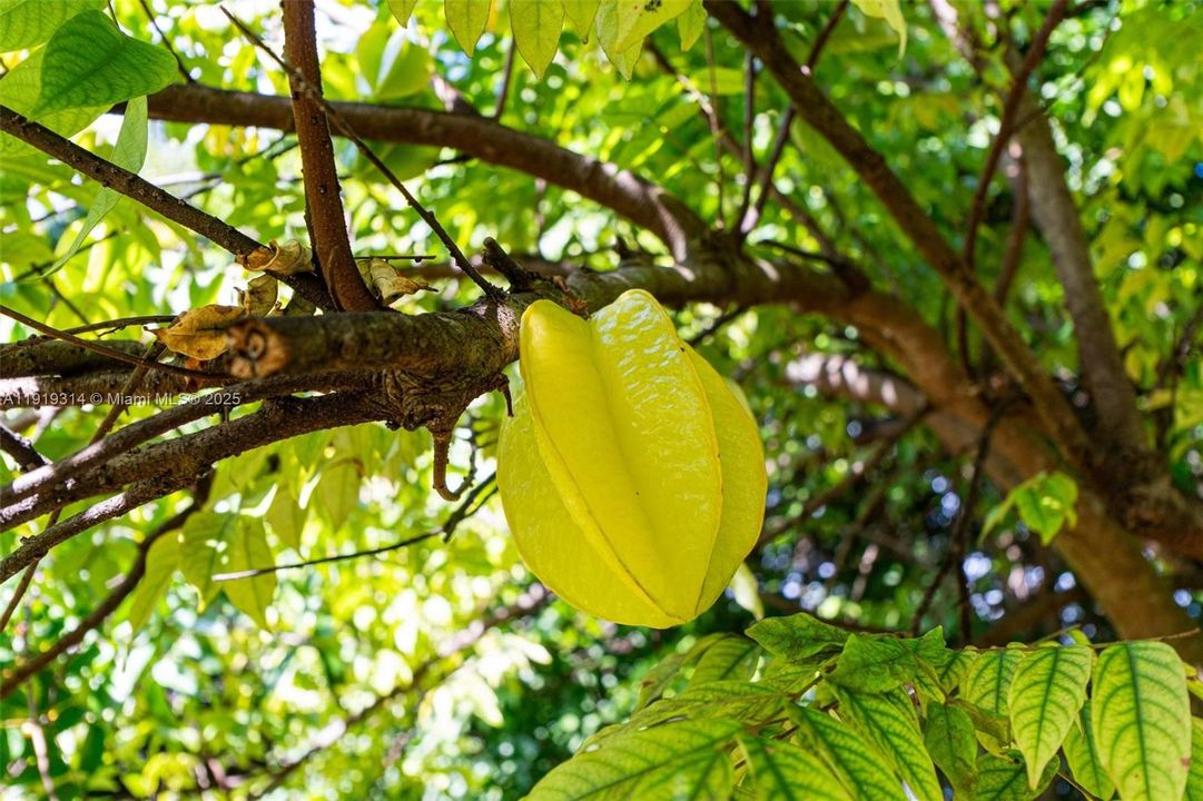 На продажу: $1,200,000 (3 спален, 2 ванн, 3694 Квадратных фут)