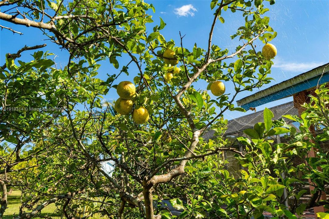 На продажу: $1,200,000 (3 спален, 2 ванн, 3694 Квадратных фут)