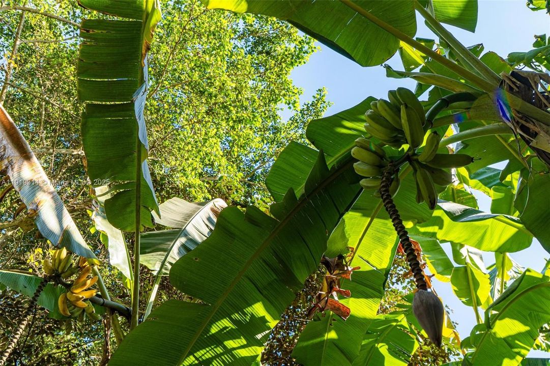 На продажу: $1,200,000 (3 спален, 2 ванн, 3694 Квадратных фут)