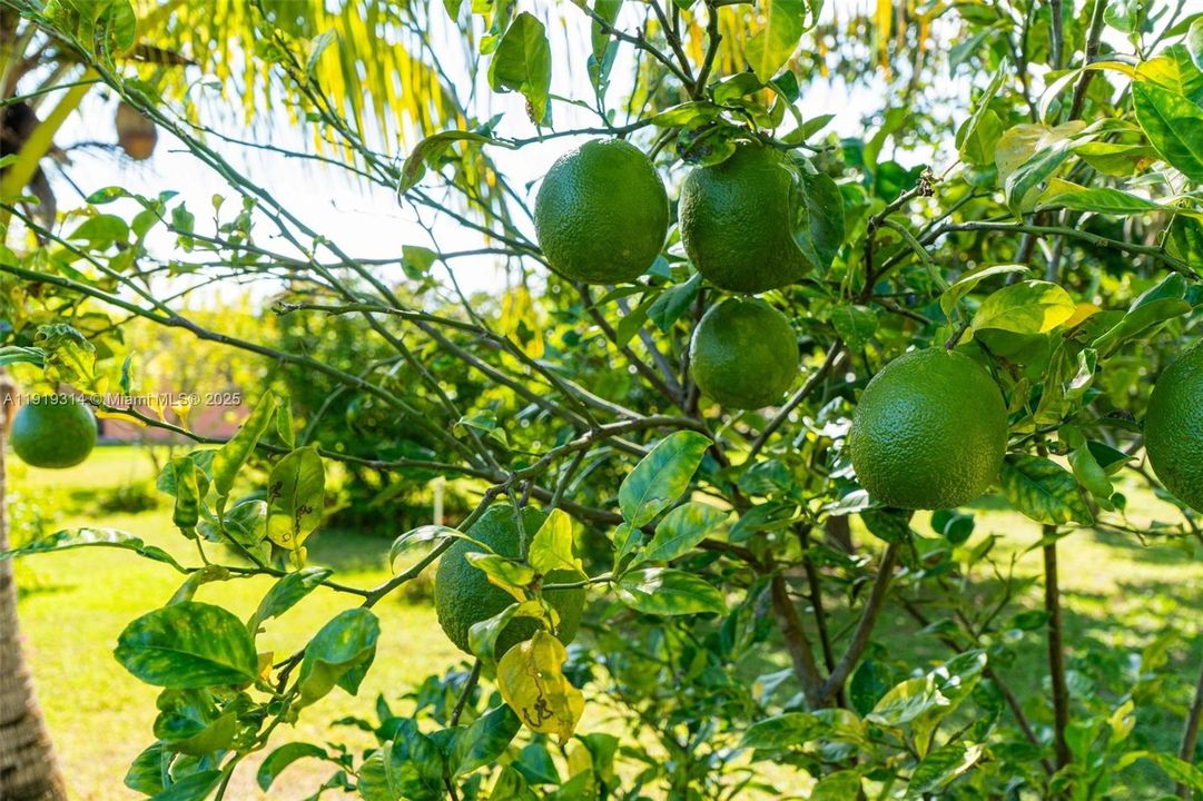 На продажу: $1,200,000 (3 спален, 2 ванн, 3694 Квадратных фут)